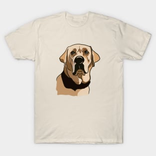 Yellow Labrador, Sticker, Shirt, Poster and more T-Shirt